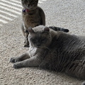 IMG 2301 - Copy