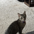 IMG 1121