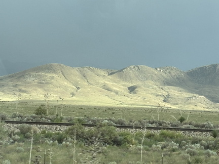 IMG 1336