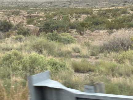 IMG 1346