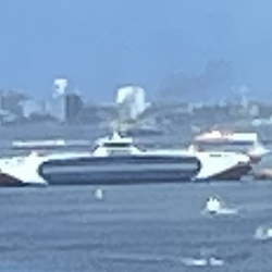 Cruises