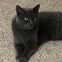 Dakota