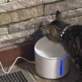 IMG 1313