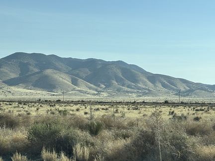 IMG 3639
